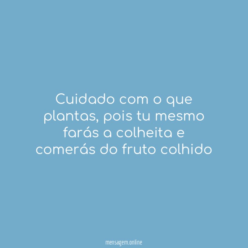 Cuidado com o que plantas