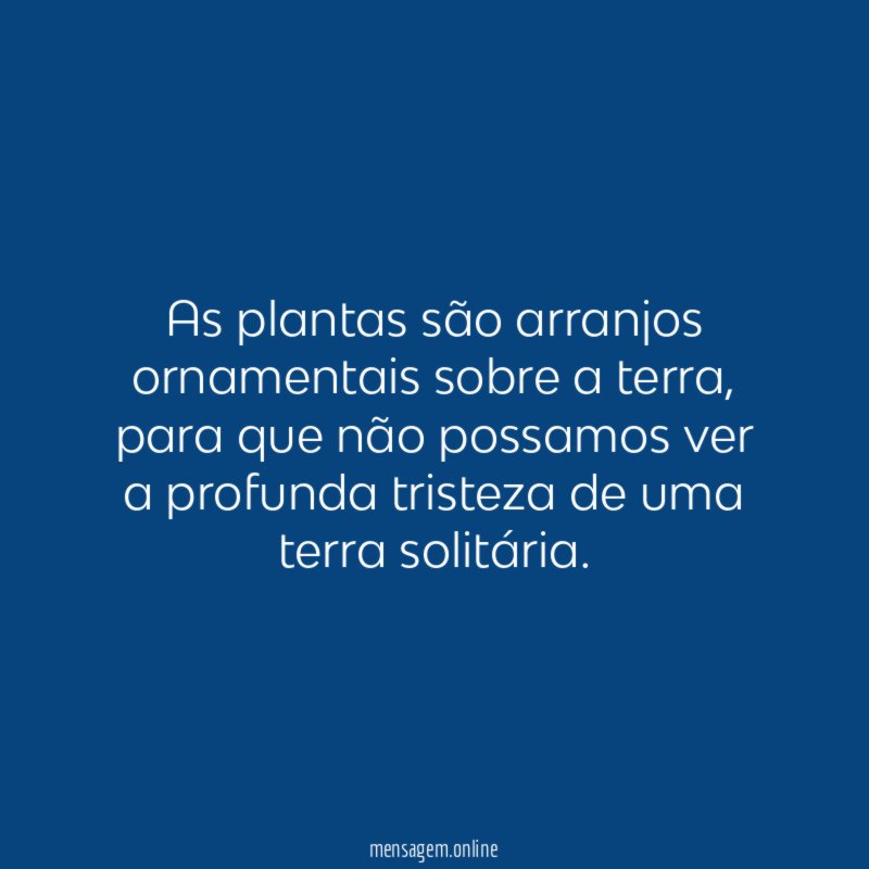 As plantas são arranjos ornamentais sobre a terra