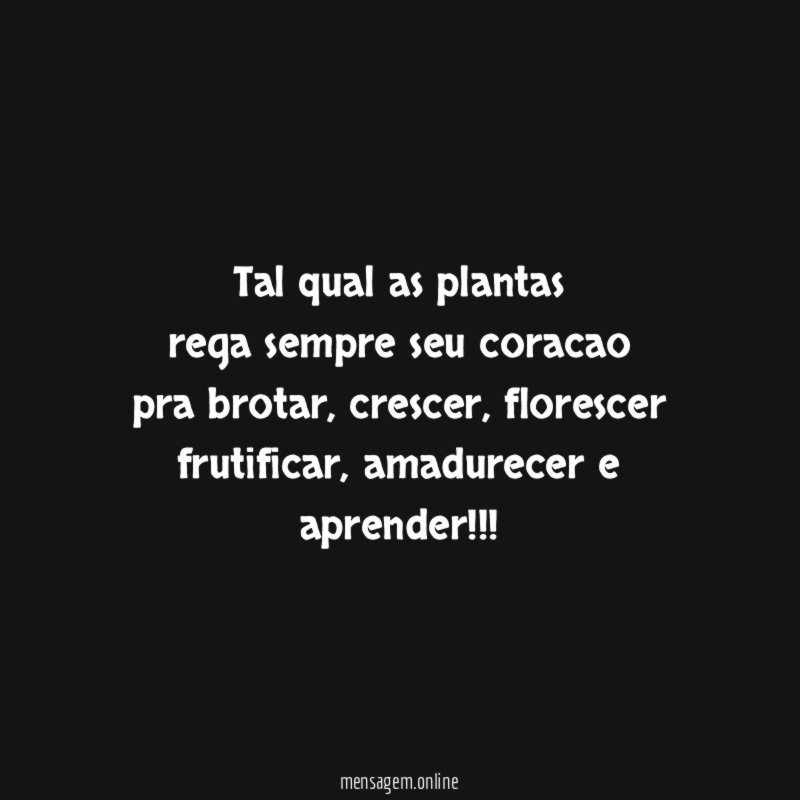 tal qual as plantas rega sempre seu coracao pra brotar