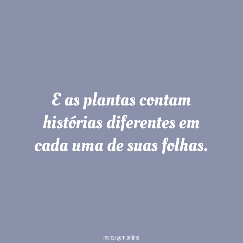 E as plantas contam histórias diferentes em cada