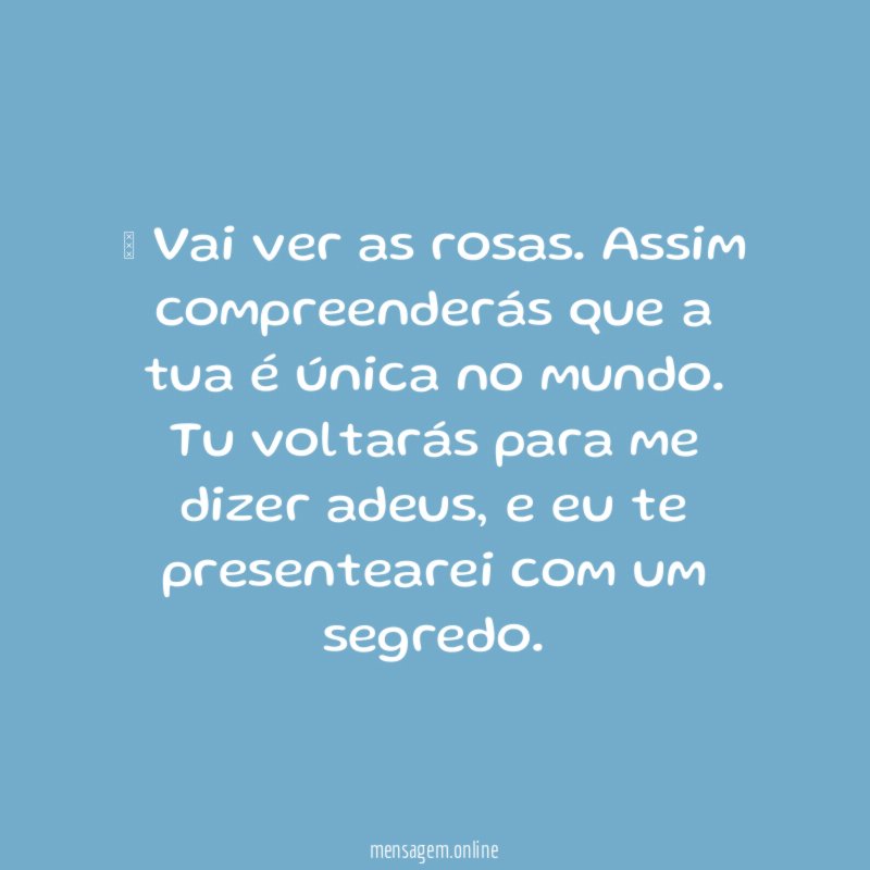 – Vai ver as rosas