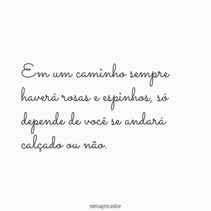 Em um caminho sempre haverá rosas e espinhos
