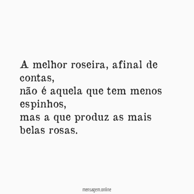 A melhor roseira