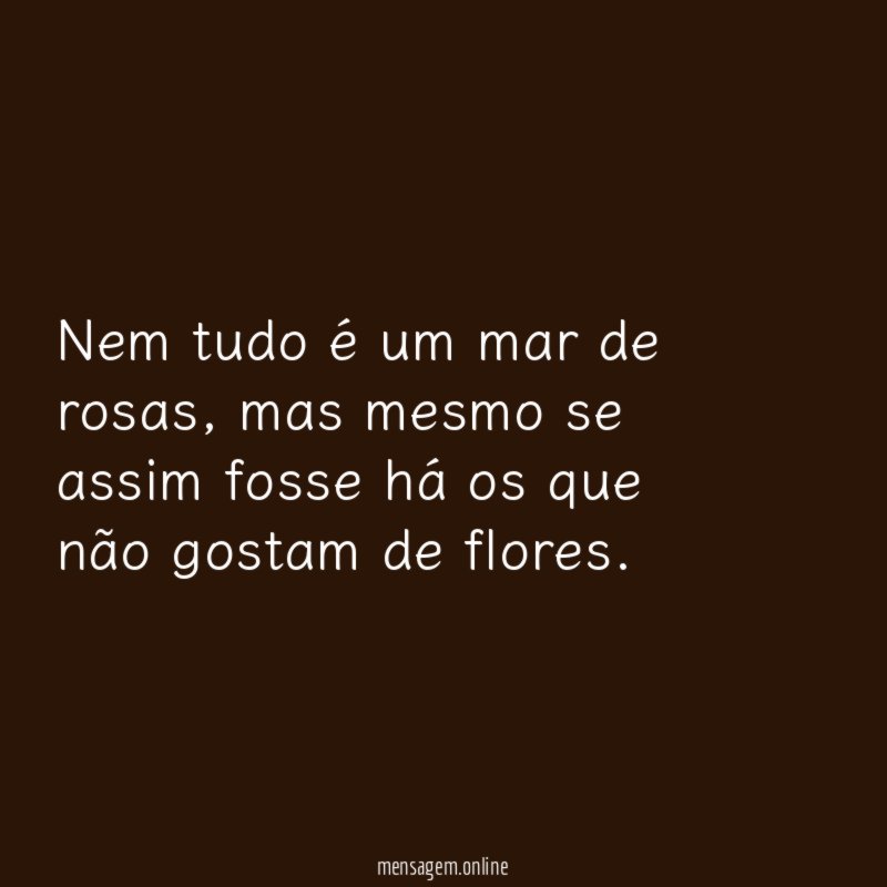 Nem tudo é um mar de rosas