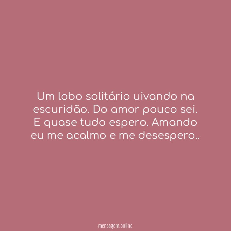 Uivando na Escuridão