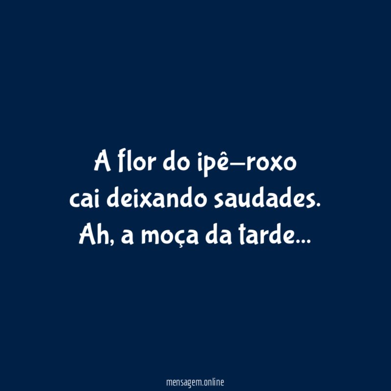 A flor do ipê-roxo cai deixando saudades