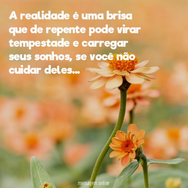 A realidade é uma brisa