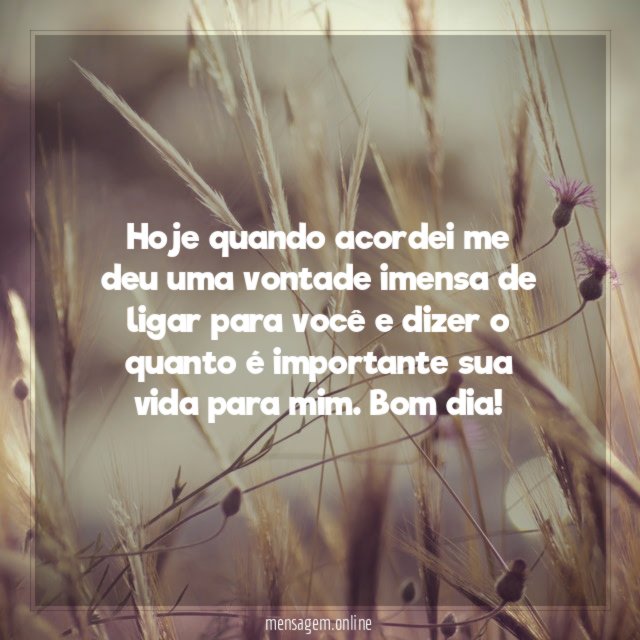 Vontade imensa