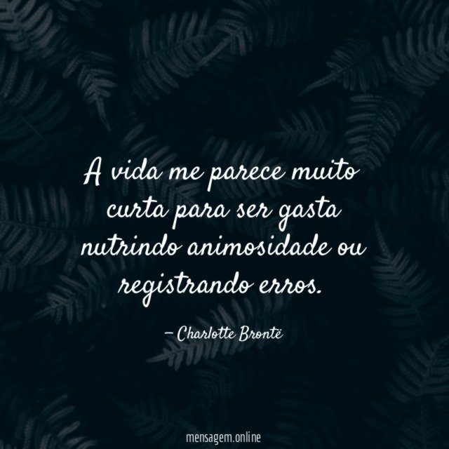 Muito Curta