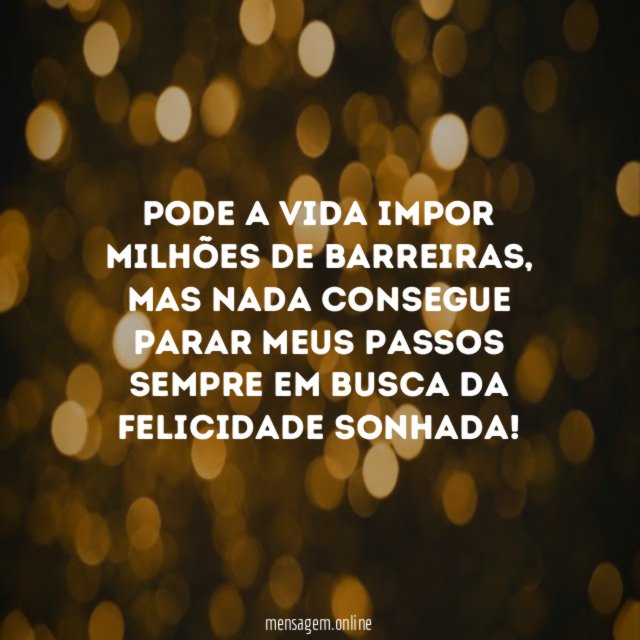 Busca da felicidade