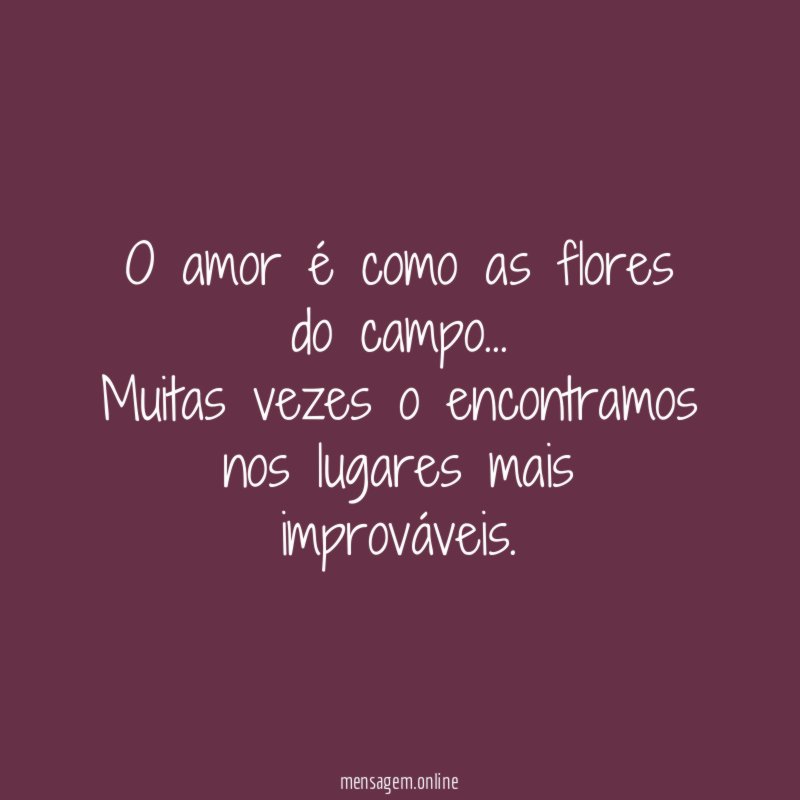 Flores do campo