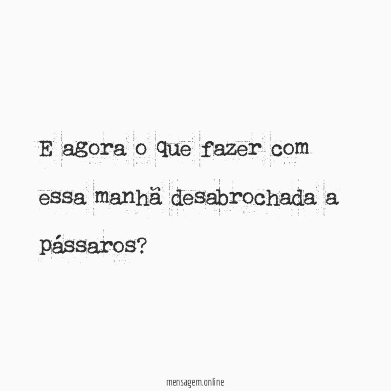 Manhã desabrochada
