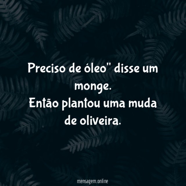 Olhai os Lírios dos Campos