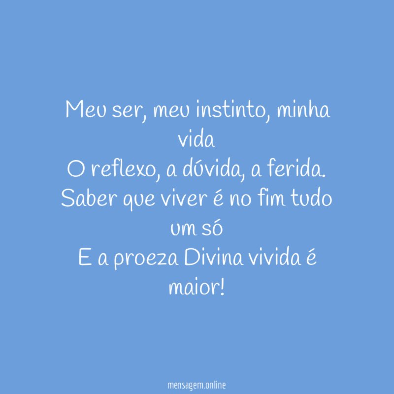 Meu ser