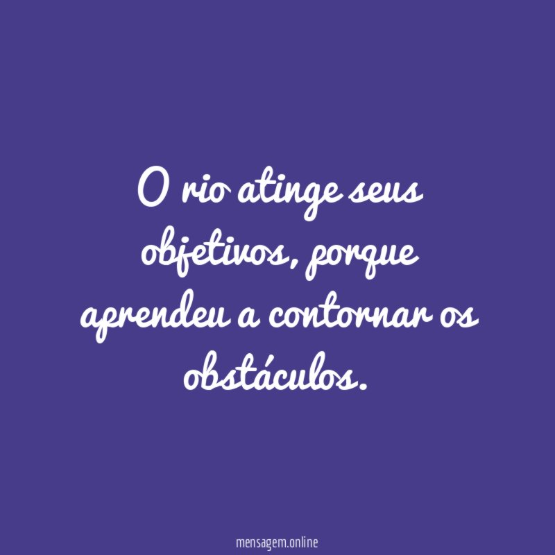 Seus Objetivos