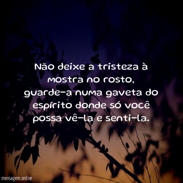 Vê-la e senti-la
