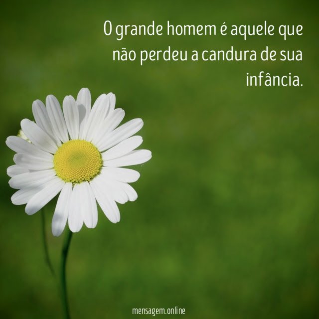 O grande homem é aquele que não perdeu