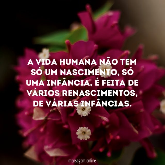 A vida humana não tem só um nascimento