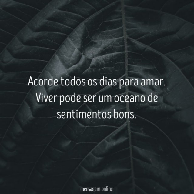 Sentimentos bons