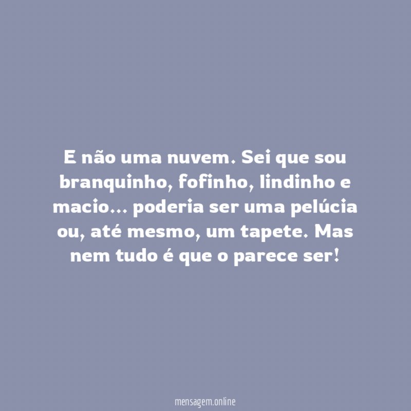 Eu sou um gato!