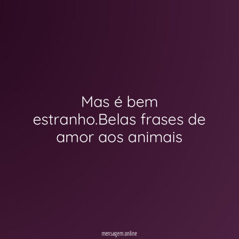 É…até que é confortável.