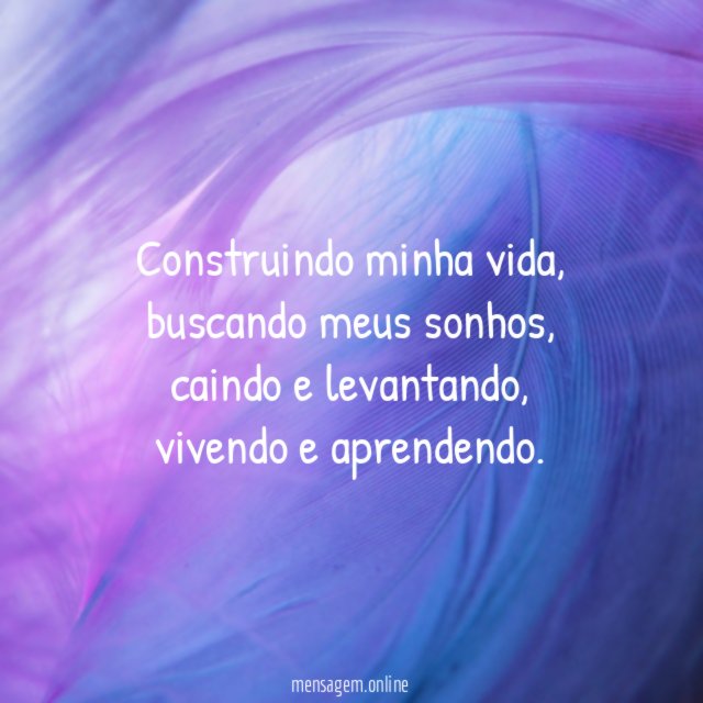 Sonho da Vida