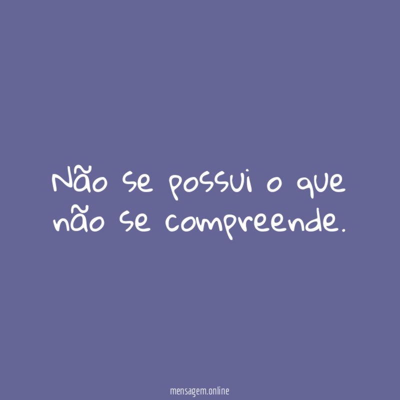 Não se possui o que não se compreende