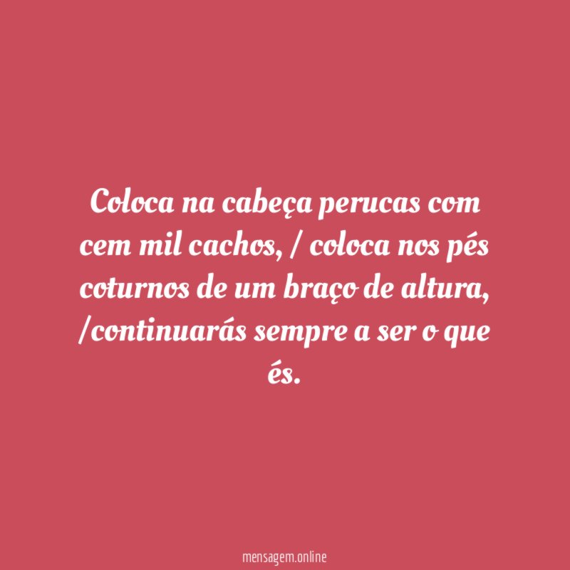 Coloca na cabeça perucas com cem mil cachos