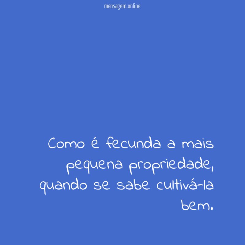 Como é fecunda a mais pequena propriedade