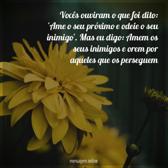 Amem os seus inimigos