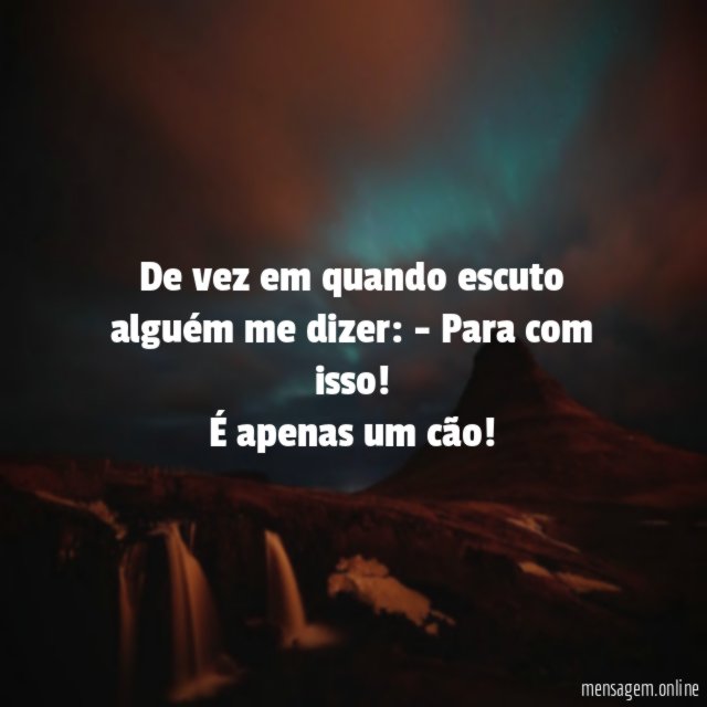 Apenas um Cão