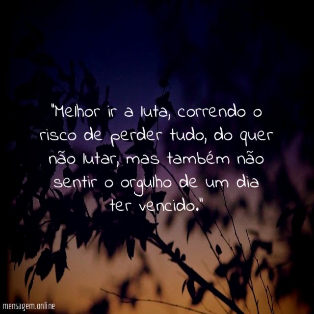 'Melhor ir a luta