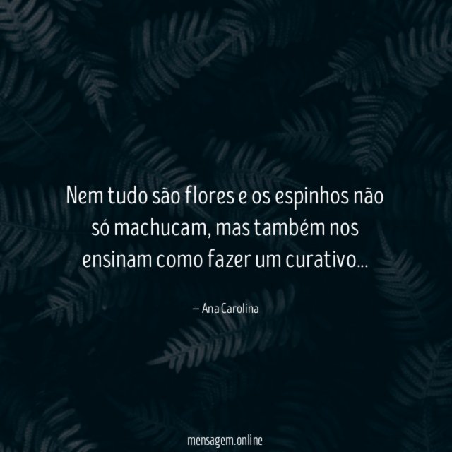 Nem tudo são flores