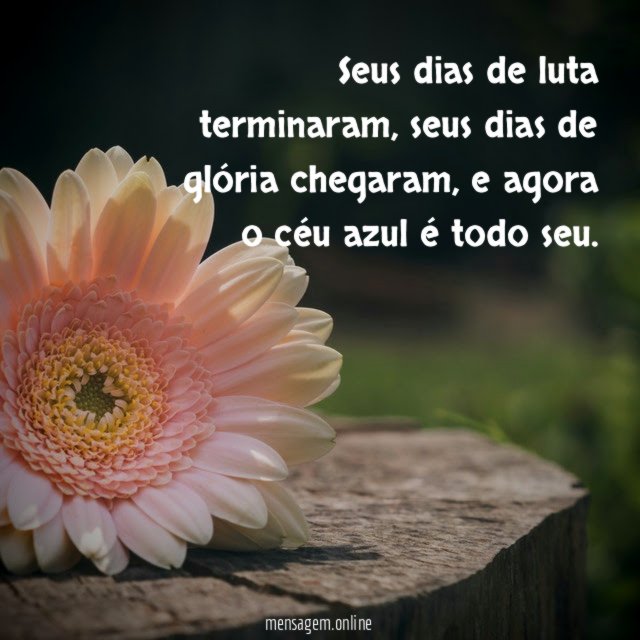 Seus dias de luta terminaram