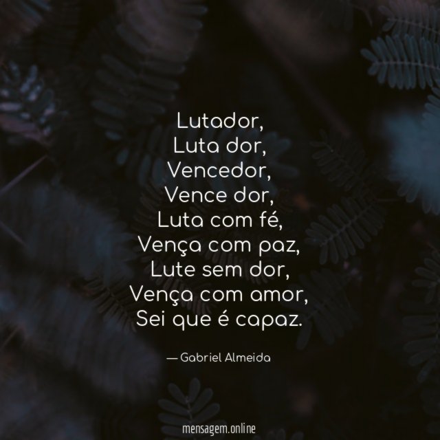 Lutador