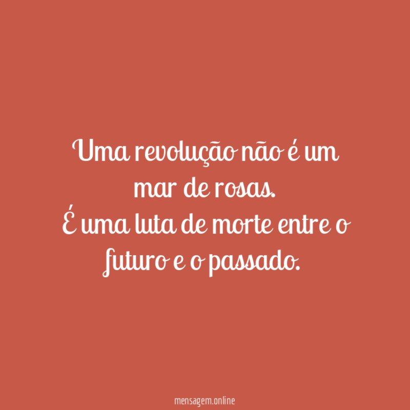 Uma revolução não é um mar de rosas