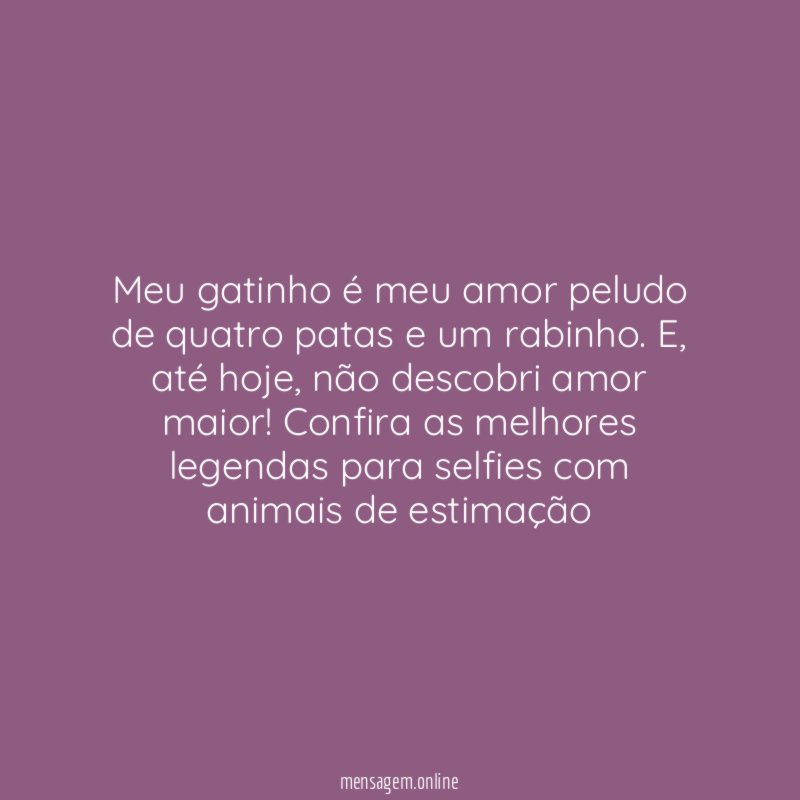 Um tipo de amor