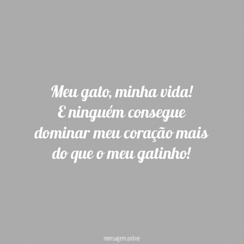 Minha vida