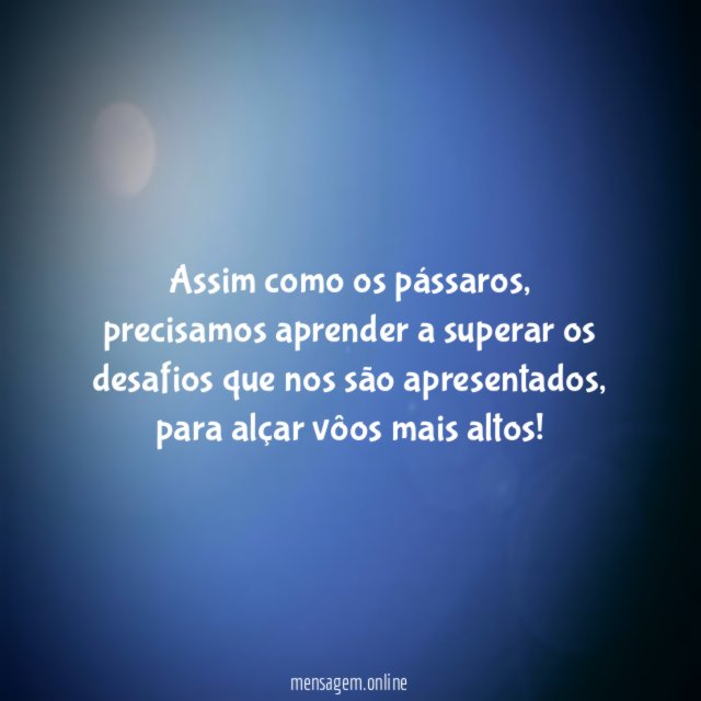 Pássaros