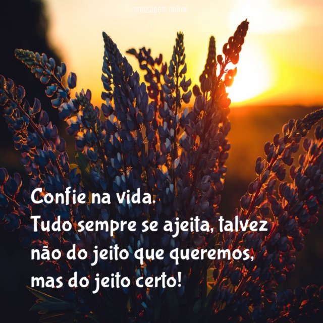 Confie