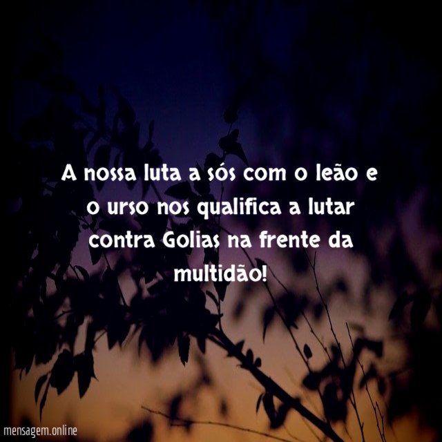 A nossa luta a sós com o leão