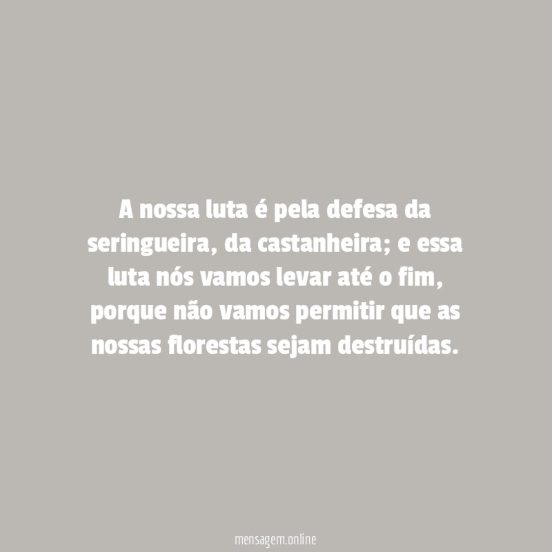 A nossa luta é pela defesa da seringueira