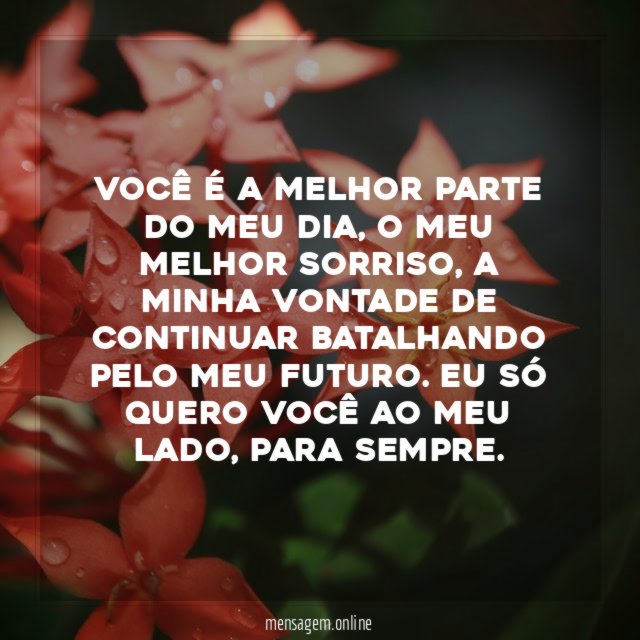 Amar sem limites