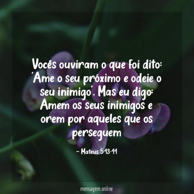 Ame o seu próximo