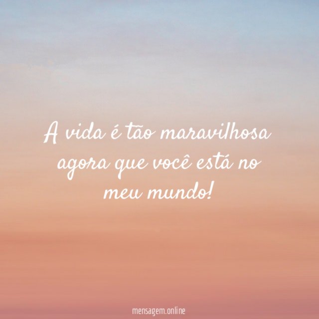 Meu amor