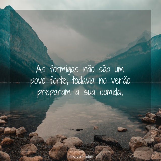 No verão