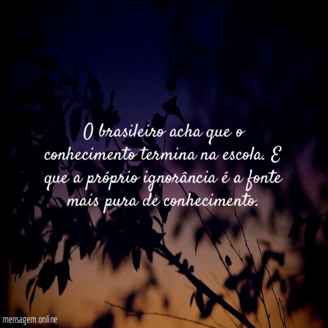 O brasileiro acha que o conhecimento termina na escola