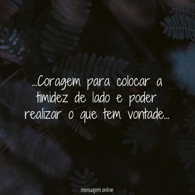 De tudo um pouco