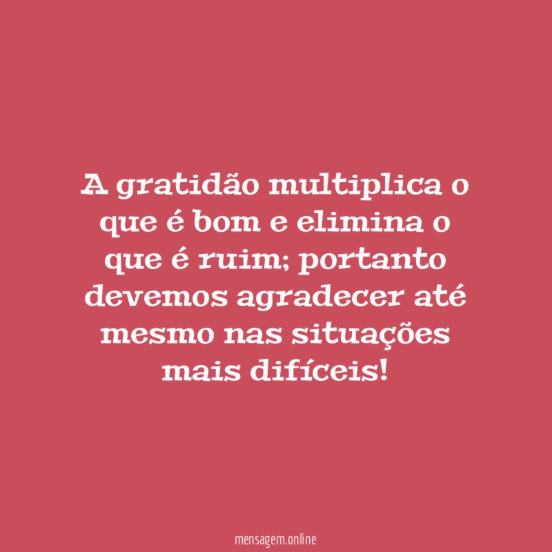 A gratidão multiplica o que é bom e elimina o que é ruim