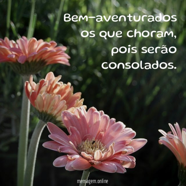 Bem-aventurados